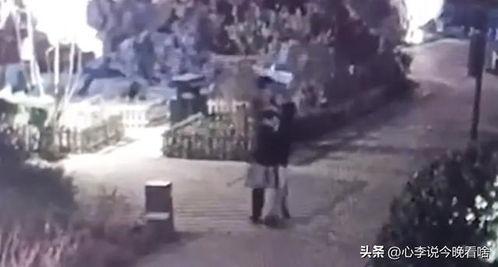 莘县吃瓜视频曝光事件最新,真相与争议交织的网络风暴