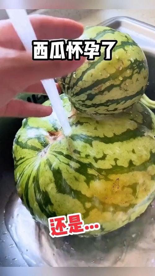 吃红瓜的配音视频大全集,重温经典，笑料横生的配音瞬间