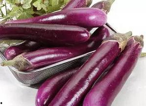 美女吃茄瓜视频大全,美女品尝茄瓜视频大盘点